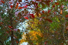 20221015145548 IMG 4168