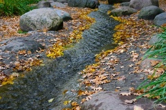 20221015152250 IMG 4186