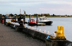 20221024174130 IMG 4253