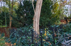 20221030161142 IMG 4394